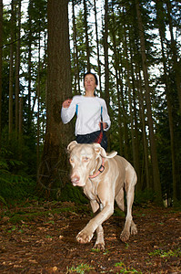 女人和狗一起在森林里慢跑图片