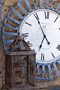 时钟和鸟笼图片