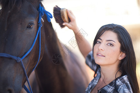 青年妇女给马梳理毛发图片