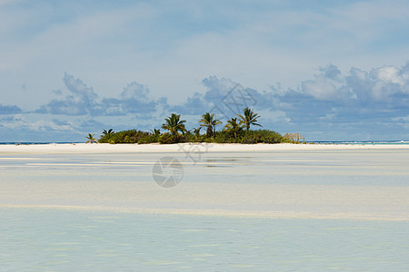 南太平洋岛有海滩和棕榈树图片