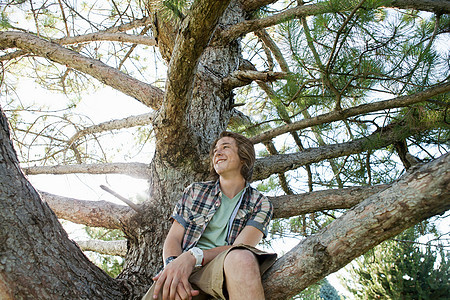 少年男孩坐在树上肖像图片