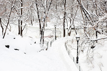 美国纽约州曼哈顿市中央公园冬季风景图片
