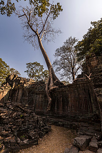 柬埔寨寺庙的废墟图片