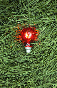 落在草地上的红色灯泡背景图片
