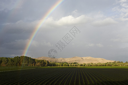 新西兰奥克兰田野景观彩虹图片