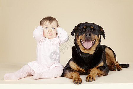 宝宝和狗狗狗和女婴肖像背景
