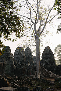 BanteayKdei寺庙吴哥Wat综合建筑暹粒柬埔寨图片