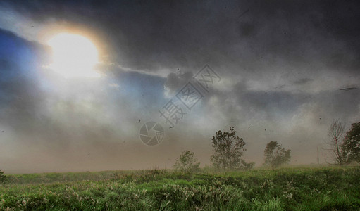 巨型沙尘暴后面的大太阳图片