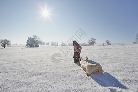 年轻男孩拉起雪橇后视图片