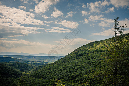 清爽风景美国马萨诸塞州伯克郡新英格兰山谷上空的鸟背景