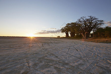 非洲卡拉哈里沙漠日落公园图片