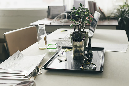 办公桌上的文件和植物背景图片