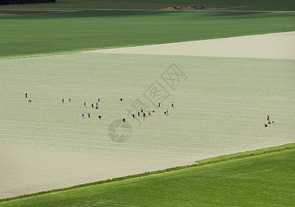 农田上的人群背景图片