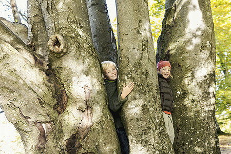 站在树中间微笑的孩子们图片