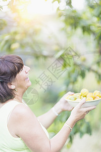 成年女性在果园里采摘李子图片