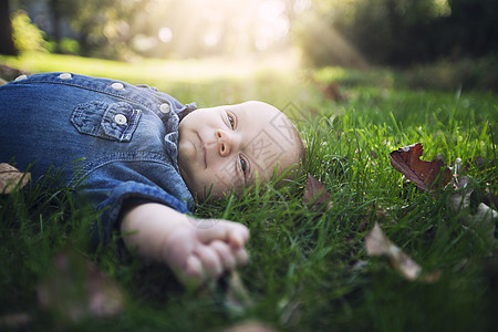 婴儿躺在秋叶上阳光照耀的草丛中向远看图片