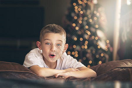 圣诞树前兴奋的男孩肖像图片
