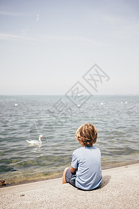 男孩坐在水上仰望天鹅图片