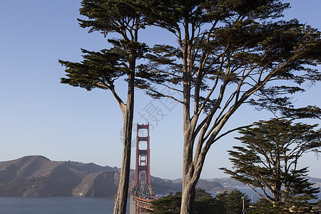 金门大桥旧金山湾旧金山加利福尼亚美国图片