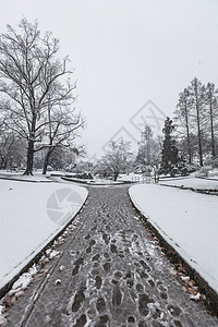 降雪覆盖路径的缩小角度图片