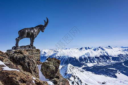 雪山山脊上的山羊雕像图片
