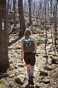 美国纽约州哈里曼立公园妇女远足者在森林中徒步远足图片
