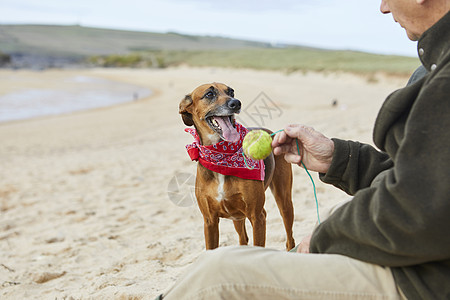 康斯坦丁湾沃尔英国海滩上的男人和狗图片