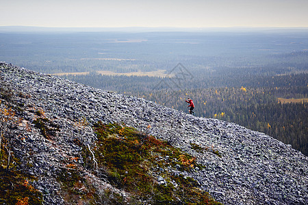 芬兰拉普兰Kesankitunturi攀爬岩石陡坡的小跑者图片