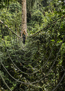 森林中跨越绳桥的男子图片