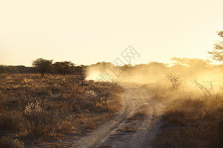 日落时的枯燥干旱平原和泥土轨道纳米比亚非洲图片