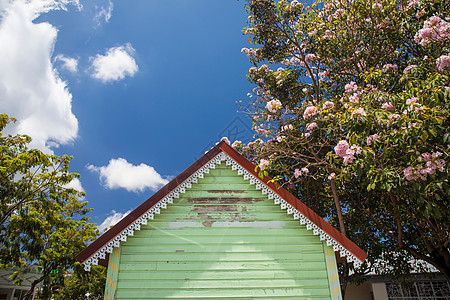 留尼汪岛绿小屋和花树图片