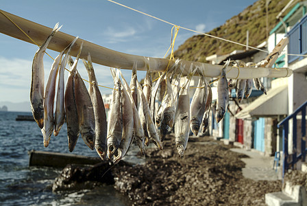 希腊米洛斯岛村子上晾晒干鱼图片
