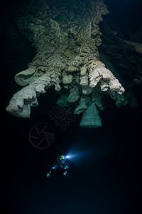 Scuba潜水员探索丛林下沉洞穴中被称为铃声的独特自然构造图片