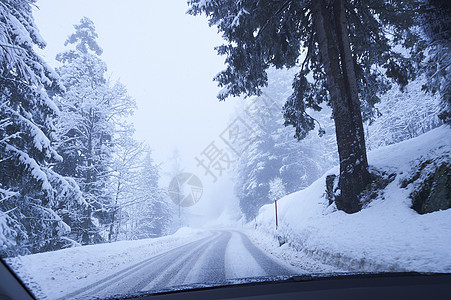 瑞士Gstaad农村森林道路雪覆盖的农村森林道路风透景瑞士格斯塔阿德图片