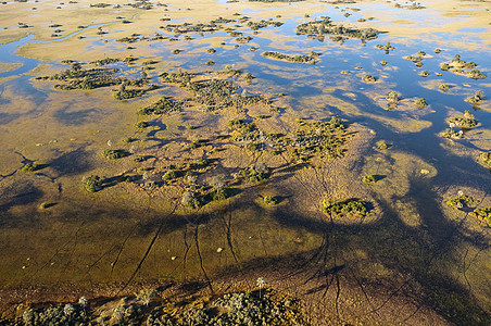 博茨瓦纳湿地的高空视角图片