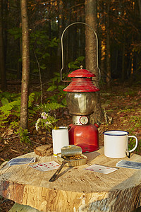 森林野餐美国纽约州卡茨基尔公园高露洁湖野生森林树桩上的扑克牌罐装沙丁鱼和锡杯背景