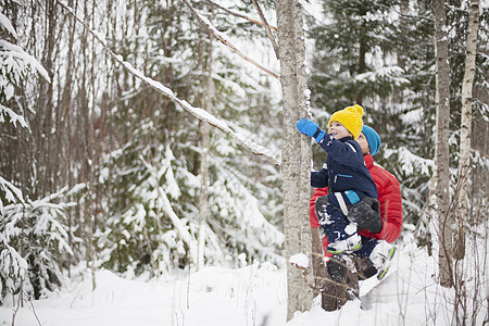 男人帮助儿子在雪覆盖的森林里爬树图片