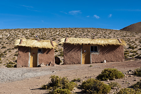 智利阿塔卡马沙漠丘村图片