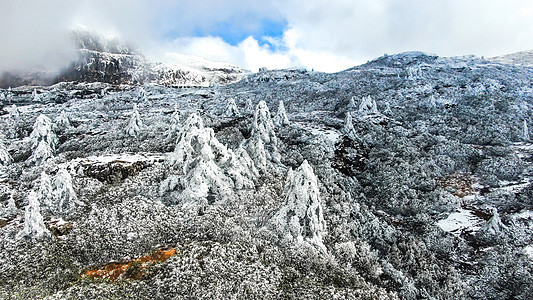 云南昆明轿子雪山4A景区冬日雪景图片