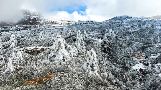 云南昆明轿子雪山4A景区冬日雪景图片