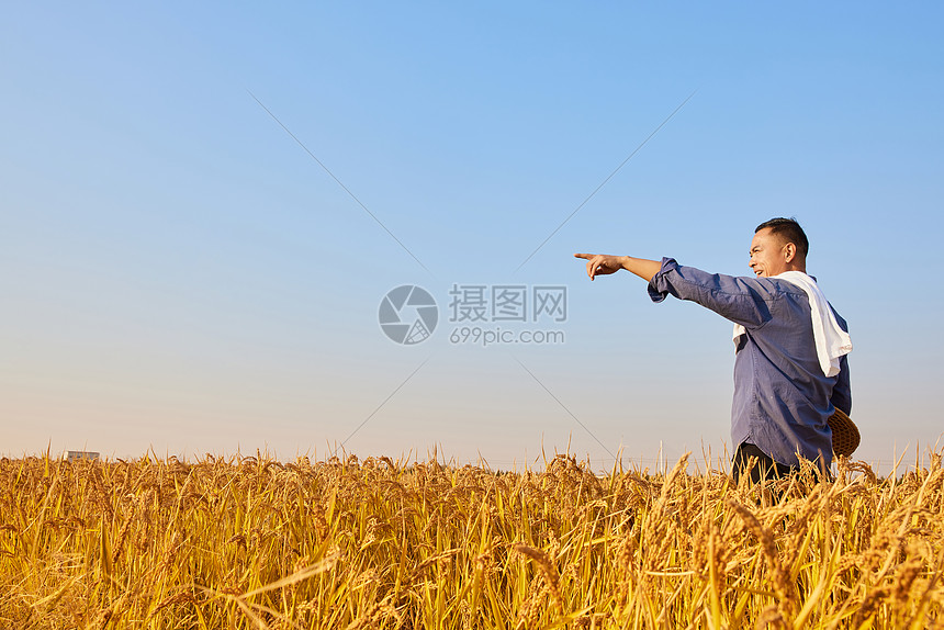 田野里农民伸手指向远方图片
