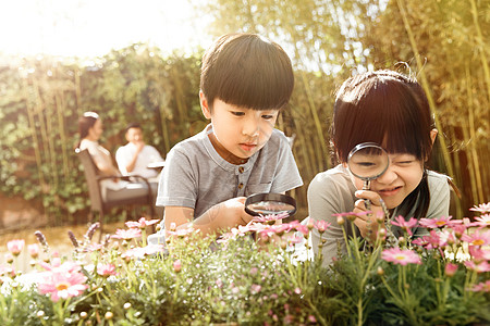 花朵和女孩两个儿童在庭院里玩耍背景