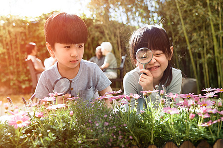 儿童科学实验两个儿童在庭院里玩耍背景