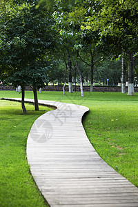绿色优美风景夏天公园木板小路背景