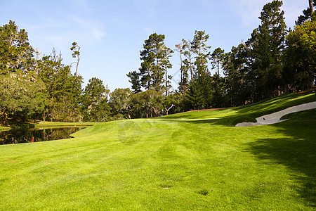 树林池塘高尔夫球场图片