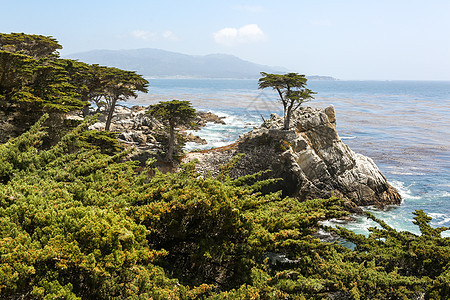 美国海岛上的海岸线图片