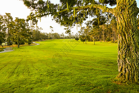 高尔夫草坪休闲活动旅行高尔夫球场背景