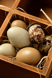 椭圆蛋白质胆固醇美味木格容器里的鸡蛋和鹌鹑蛋背景