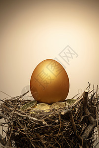 手绘地球素材鸟窝里的金币和金蛋背景