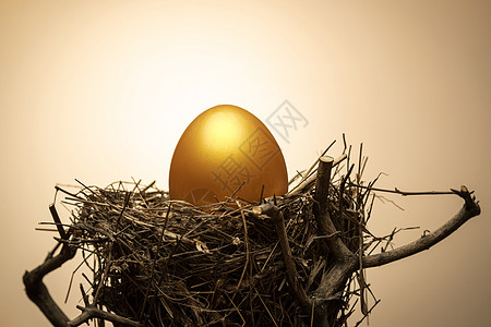 ps金蛋素材树杈上鸟窝里的金蛋背景